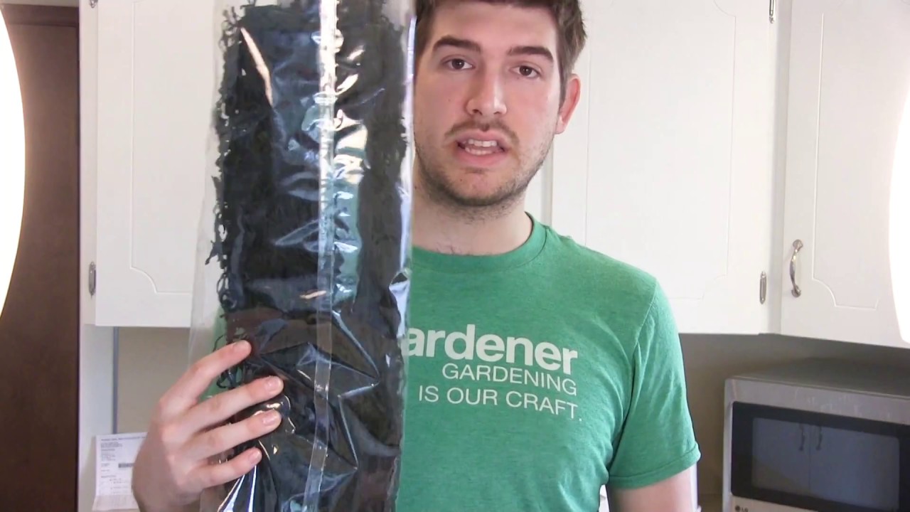 How to Make Seaweed Fertilizer at Home! Cheap Easy & Organic! YouTube