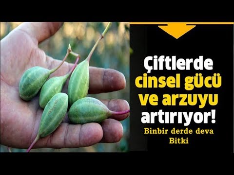 Doğal Viagra Olarak Adlandırılan Kaparinin Muhteşem Faydaları !