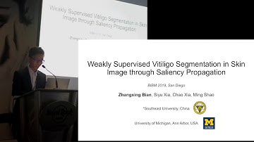 Weakly supervised vitiligo image segmentation