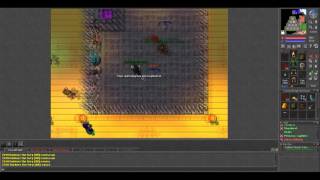Tibia Arena Warlord - Royal Paladin 88, World: Vinera
