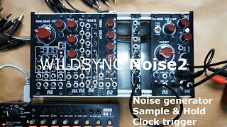 WILDSYNC Noise2