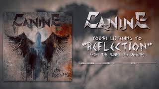 Canine - Reflection