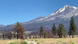 Here at Mt Shasta north flank area
