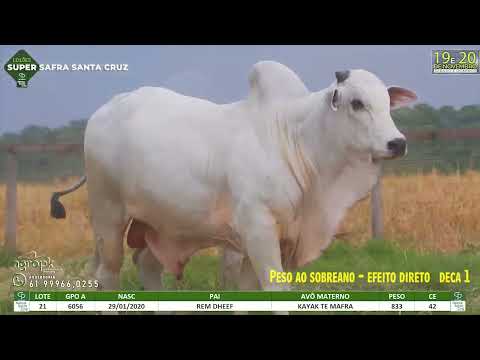 LOTE 021