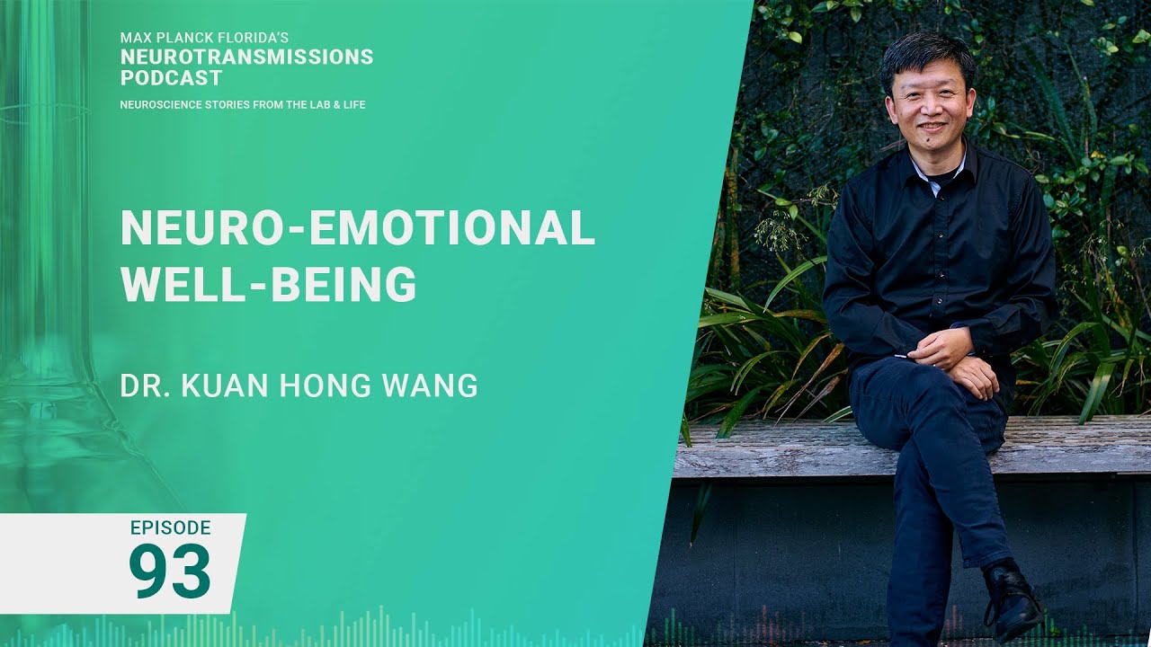 Podcast Episode 93 - Neuro-Emotional Well-Being | Kuan Hong Wang - YouTube