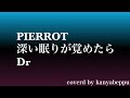 PIERROT:深い眠りが覚めたら(Dr)