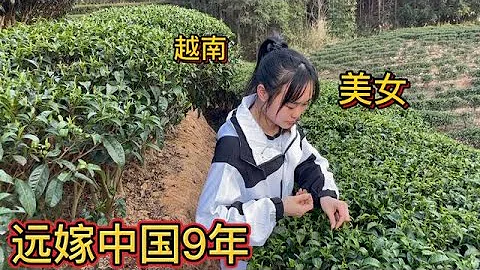 越南姑娘远嫁广西9年，如今第一次回娘家，看看老公给她多少钱 - 天天要闻