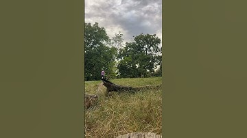 Start believing in life . #travel #croydon #lofi #timelapse #peacefulmusic #calming