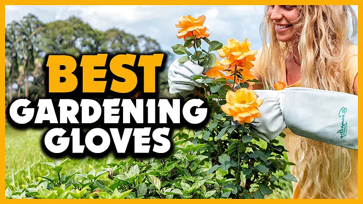 ▶️Top 5 Best Gardening Gloves In 2023 Review