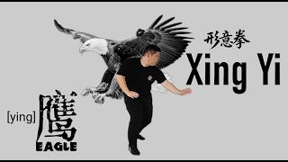 XingYiQuan 9/12 - Eagle form application(12 animal) 形意拳鹰形 #xingyiquan #wushu #形意拳 #kungfu #takedowns