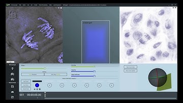 Science in School: Digitally Staining Your Cells in STEVE - a 3D Cell Visualization Tool