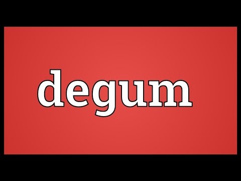 Header of degum