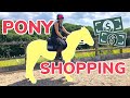 PONY SHOPPING ~ What we do when buying a new horse or pony & meet my NEW PONY!