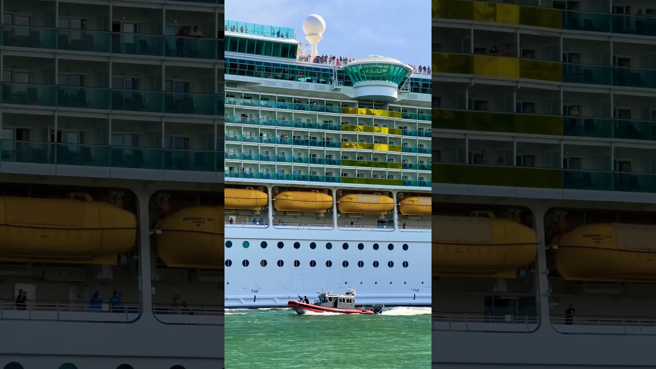 Independence of the Seas 🛳️ #like #share #comment #subscribe #cruiseship #cruise #vacation #shorts