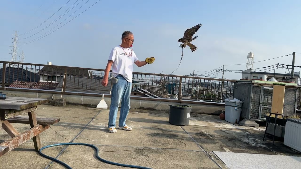 日曜日の朝のヌーのトレーニングIMG 3234