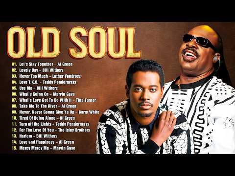 Barry White, Marvin Gaye, Al Green, Stevie Wonder, Luther Vandross - 60's 70's RnB Soul Groove