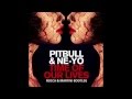 Pitbull  neyo  time of our lives rocca  martini bootleg