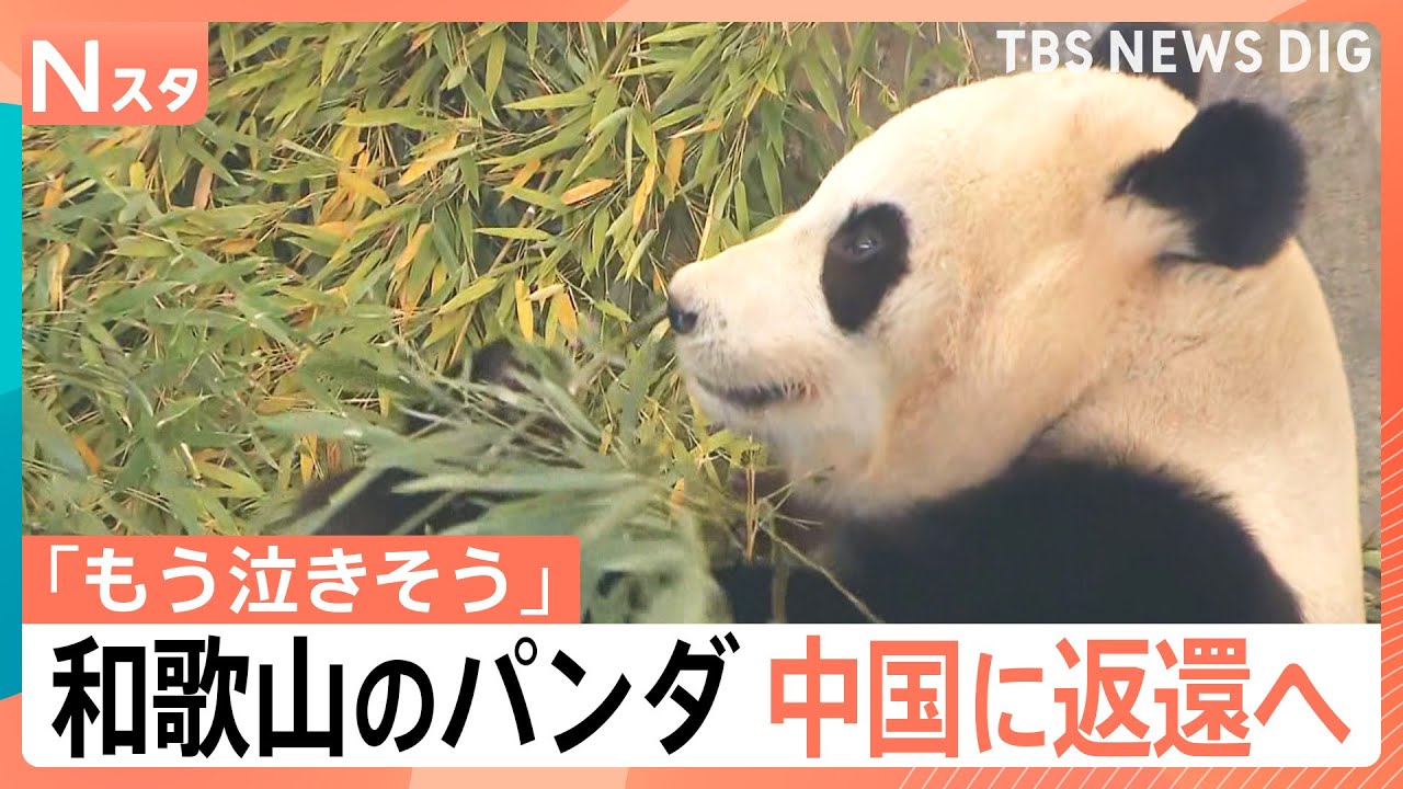 もう泣きそう」「大打撃」パンダが日本からいなくなる！？一方で、茨城