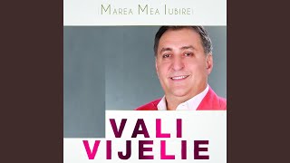 Miniatura de vídeo de "Vali Vijelie - Marea Mea Iubire (feat. Asu')"