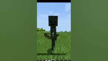 What if you give wither skeleton a bow #shorts