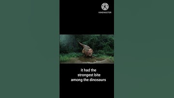 POV: why t-rex was the king | facts to give you trauma