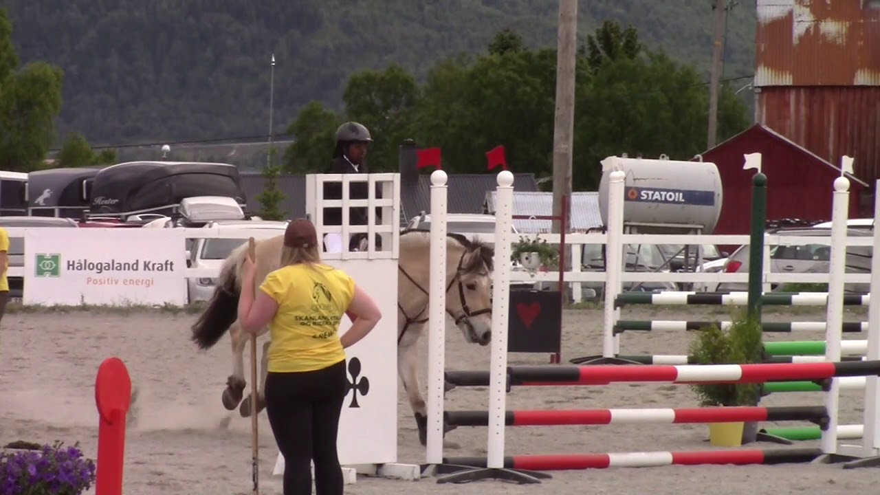 FJORDHEST: Sprangstevne, 70 cm, Skånland 24.06.2017 - YouTube