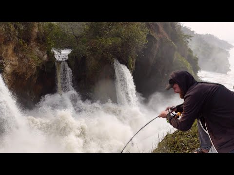Welches Ungeheuer lebt unter diesem gigantischen Wasserfall? (Über 250kg können sie sein)