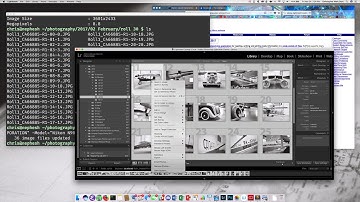 film camera metadata with Lightroom and exiftool