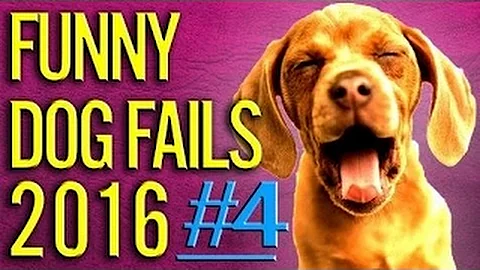 TRY NOT TO LAUGH or GRIN - Funny Kids Fails Compilation 2016 Part 8 by Life Awesome