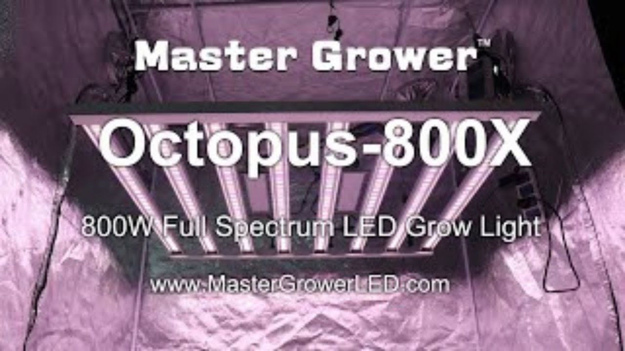 Octopus800X 800 Watt led grow light