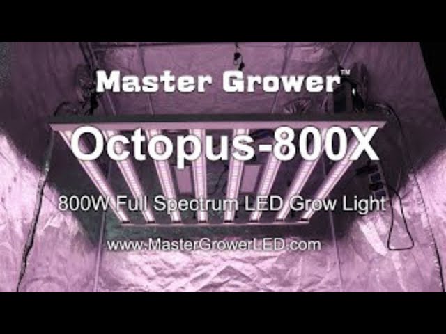 Octopus800X 800 Watt led grow light