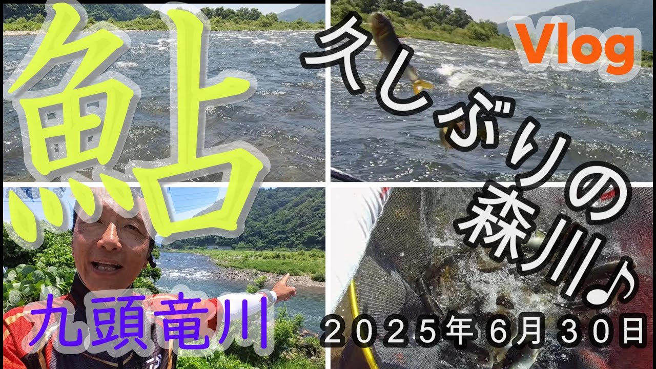 【九頭竜川】久しぶりの森川♪　2025.06.30