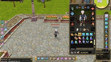 FLYFF Playpark Bug Report