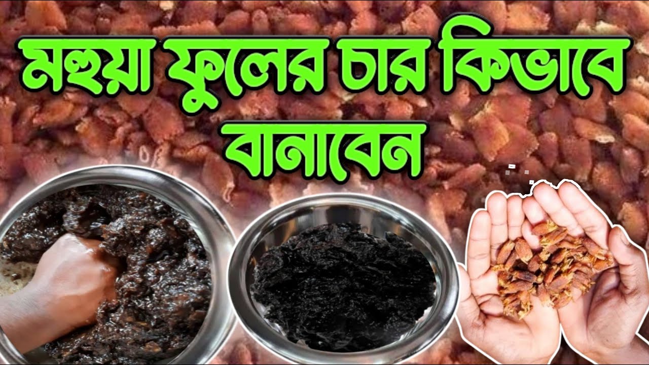 মহুয়া ফুলের মাছ ধরার চার কিভাবে বানাবেন || Mohua Flower Char Recipe || Fishing Tips