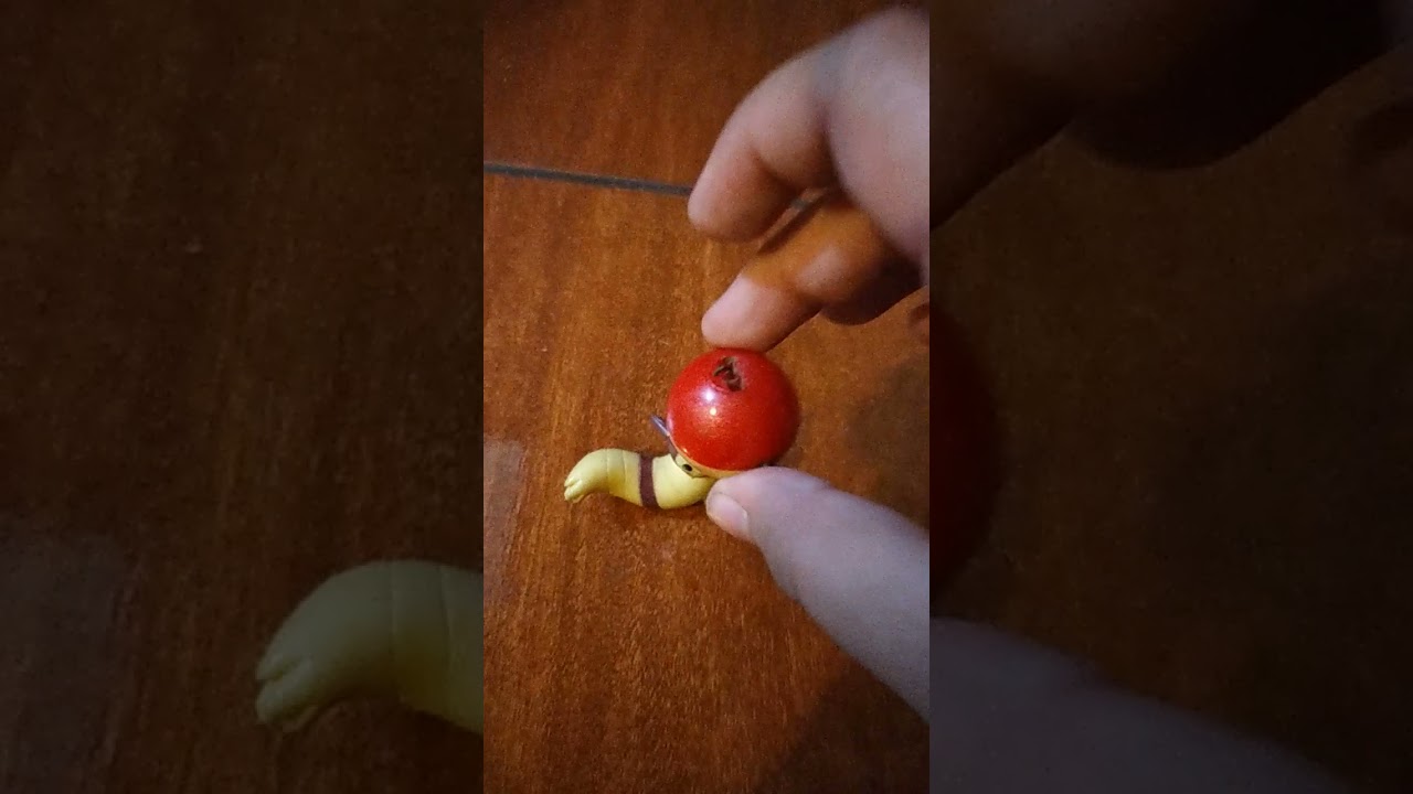 ash intenta capturar a furret