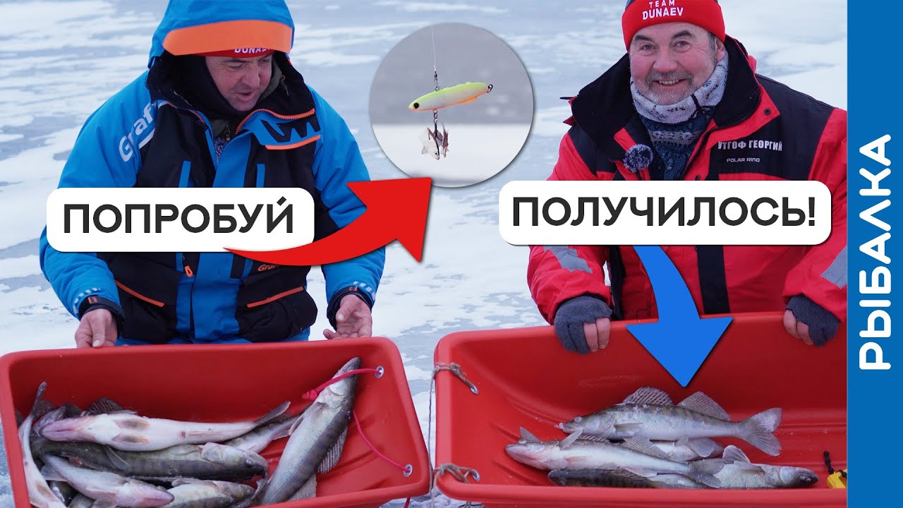 Ловля судака на волге