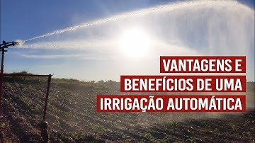 Vantagens e benefícios de uma irrigação automática
