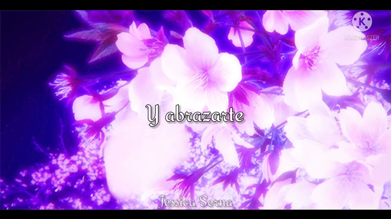 Hitohira No Hanabira ~ Stereopony~ •Bleach; ending 17 sub español•