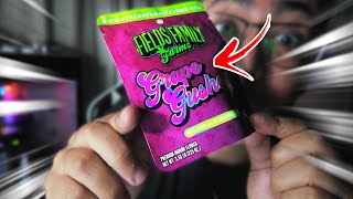 GRAPE GUSHERS ZAAA BY FIELDS FAMILY FARMZ IS TASTY!