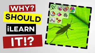What is Rhino Grasshopper 3D? What is Rhino Grasshopper 3D?