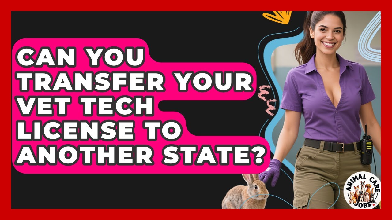 Can You Transfer Your Vet Tech License To Another State? - Animal Care Jobs