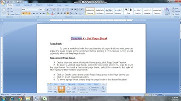 Spreadsheet (Intermediate) •|Lecture 16|• (Set Page Break) (Class 10)