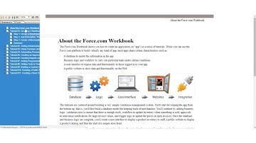 SalesForce workbook sample