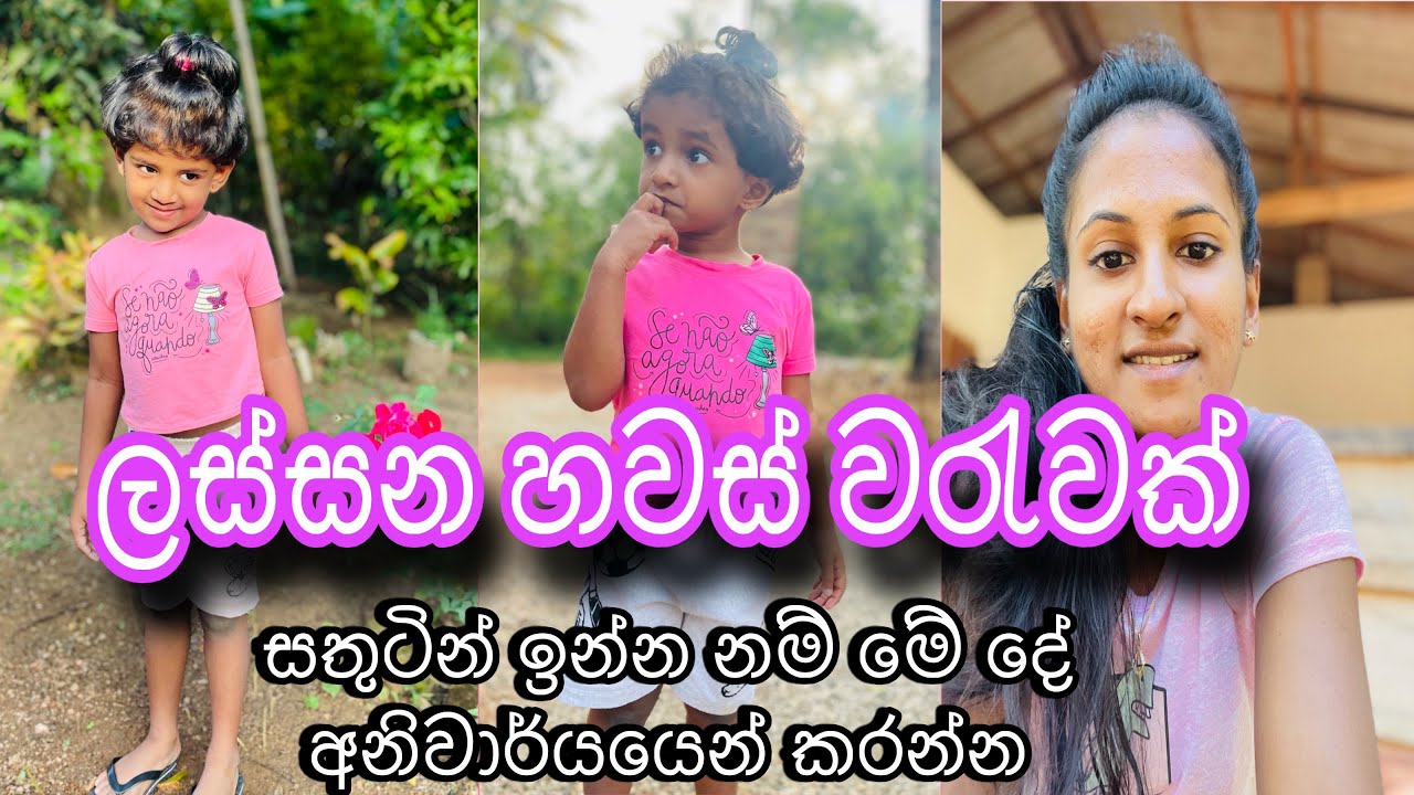 ජීවිතේ සතුටින් ඉන්නනම් අනිවාර්යයෙන් මෙහෙම කරන්න | 2026 අලුතින් පටන්ගමු 🌸(Let's start anew in 2026)