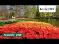 Keukenhof Rewind: year 2020. We hope to see you in 2021!🌷