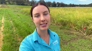 Biggest Job on Earth - Grow Graduate program