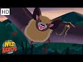 Wildlife Adventure Quiz