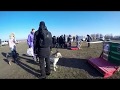 Winter Dog Fest 2018.