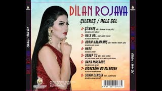 Di̇lan Rojava Gi̇deceği̇m Bu Ellerden