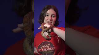 Corn Snakes Are Awesome